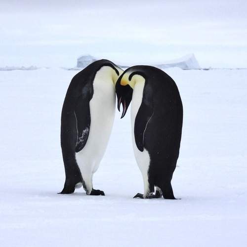 Photo #11765546