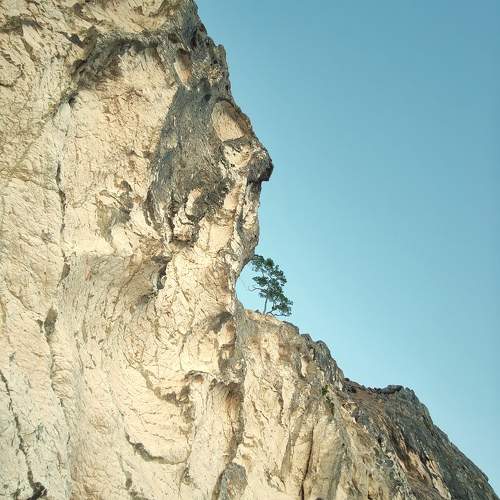 Photo #11765633