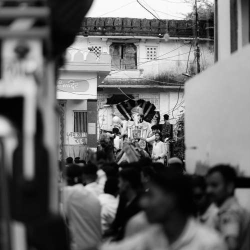 Photo #11765675