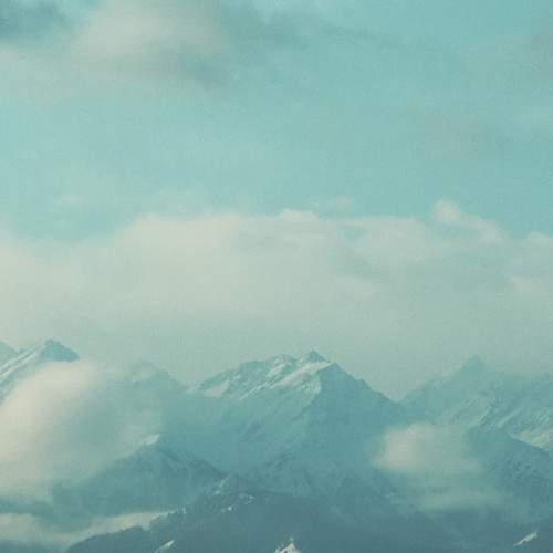Photo #11765758