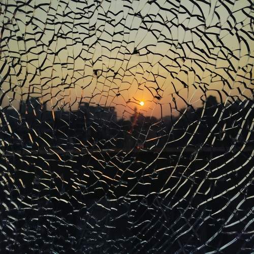 Photo #11765801