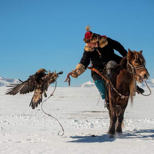 Mongolian Kazakh hunting man