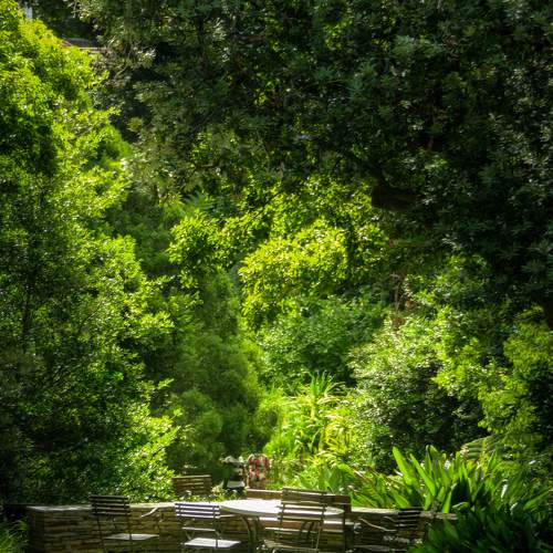 Photo #11766208