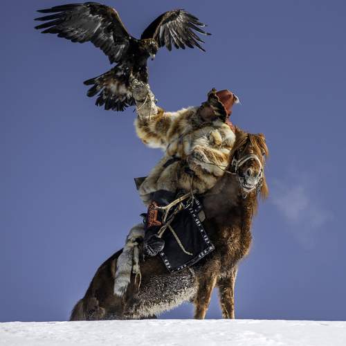 Фотография #11766213