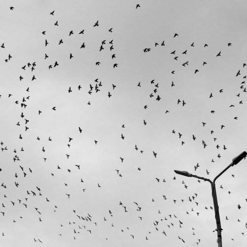 Photo #11766227
