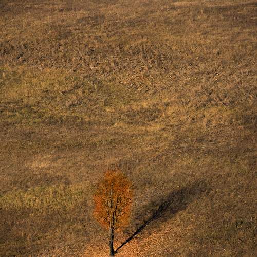 Photo #11766264