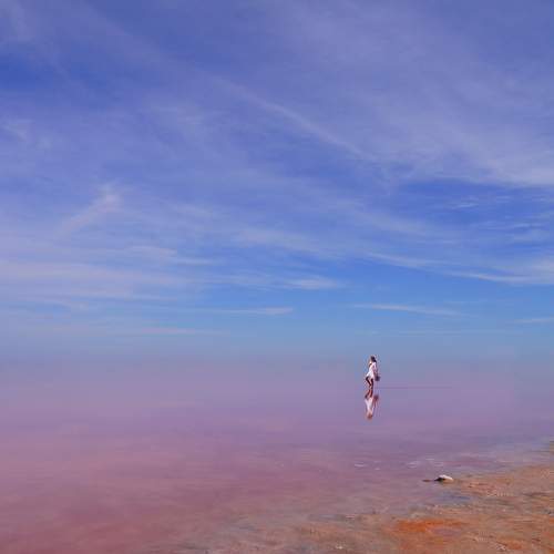 Photo #11766306