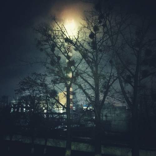 Photo #11766400