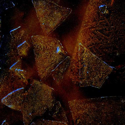 Photo #11766457