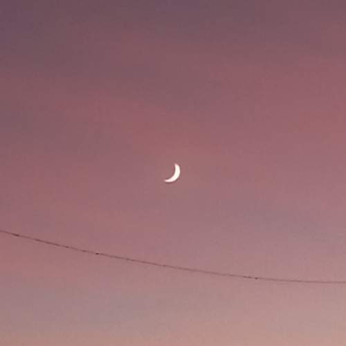 Photo #11766585