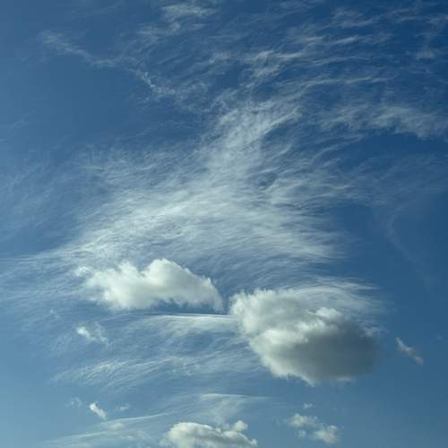 Photo #11766595