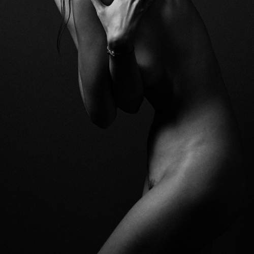 Photo #11766915