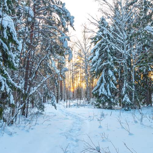 Photo #11766917