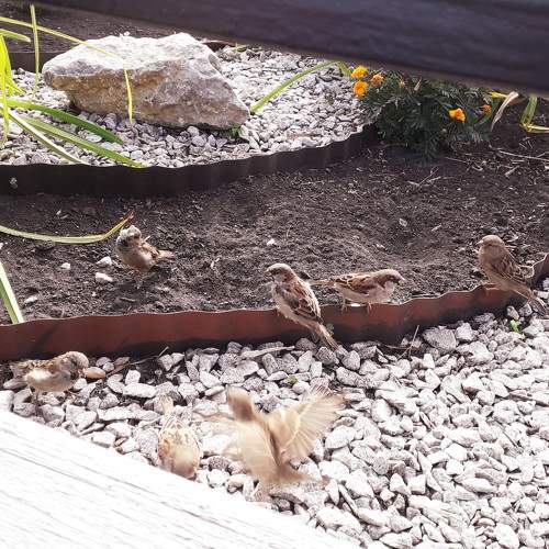 Photo #11767536