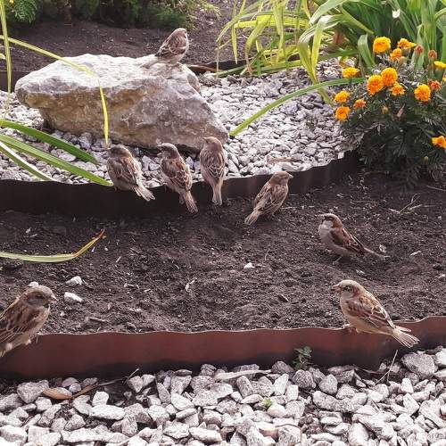 Photo #11767540