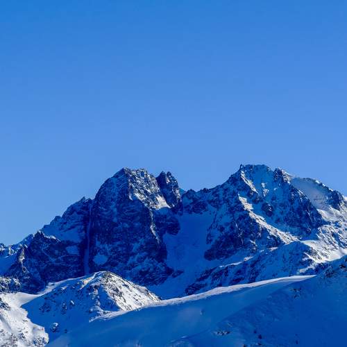 Photo #11767734