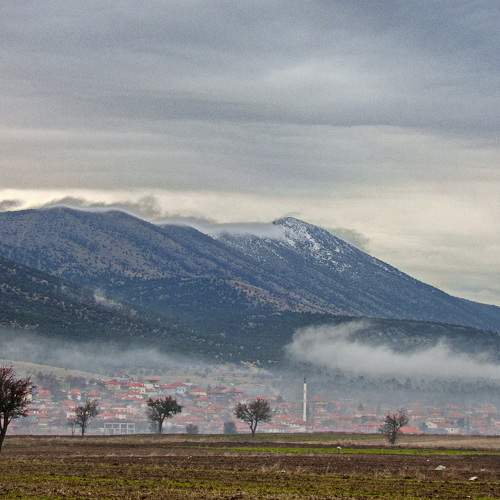 Photo #11767760