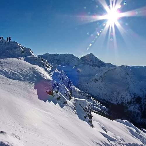 Photo #11767794