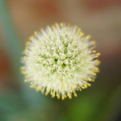 Photo #11767832