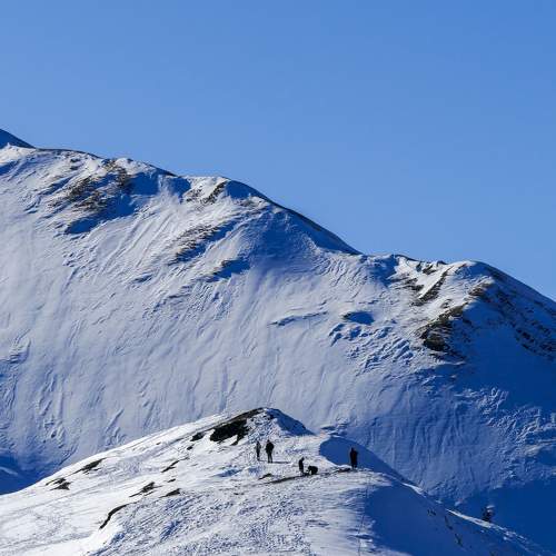 Photo #11767892