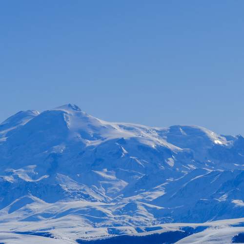 Photo #11767907