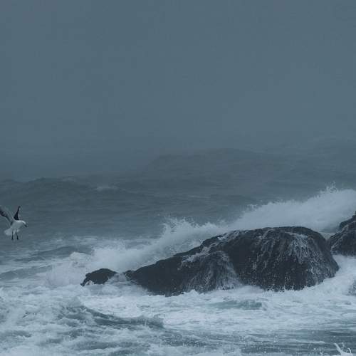 Photo #11767939