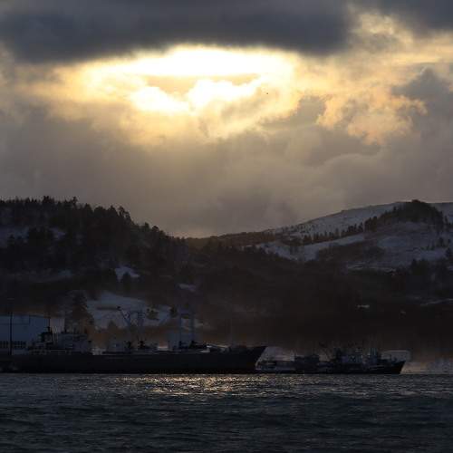 Photo #11768140