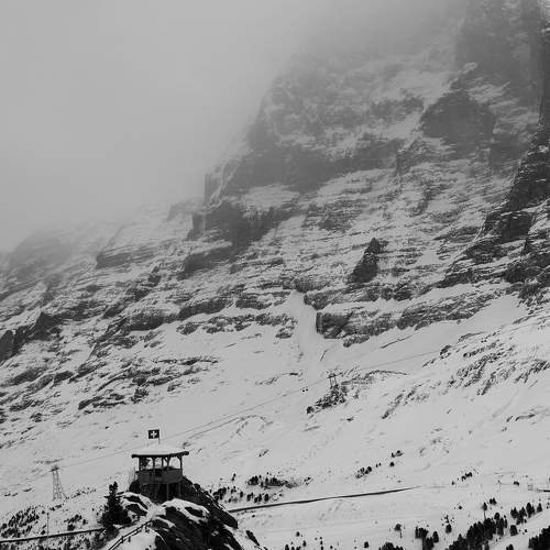 Photo #11768306
