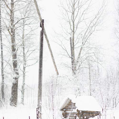 Photo #11768666