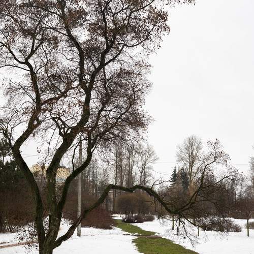 Photo #11768668