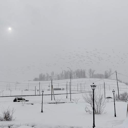 Photo #11768722