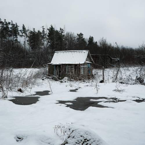 Photo #11768768