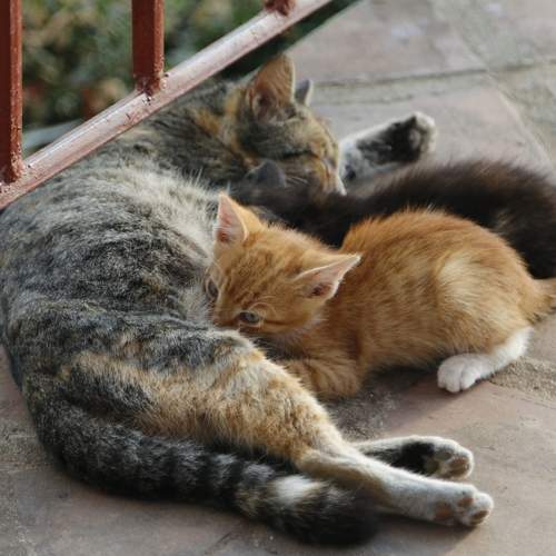 Photo #11769057