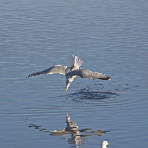 Photo #11769179