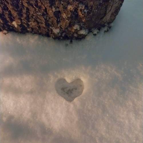 Photo #11769183