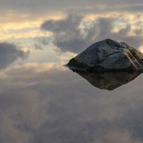 Photo #11769532