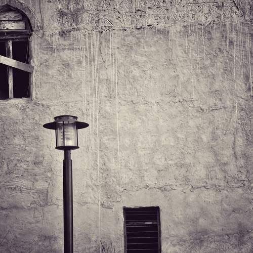 Photo #11769715