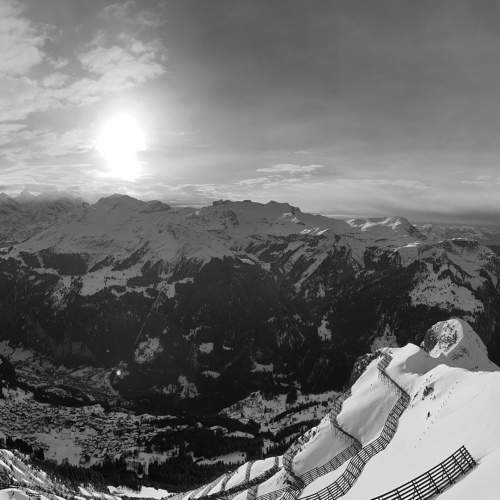 Photo #11769803