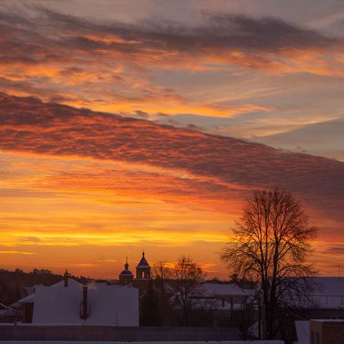 Photo #11769949