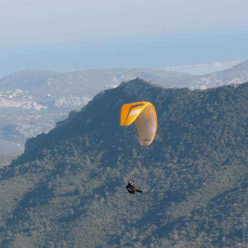 Photo #11770096