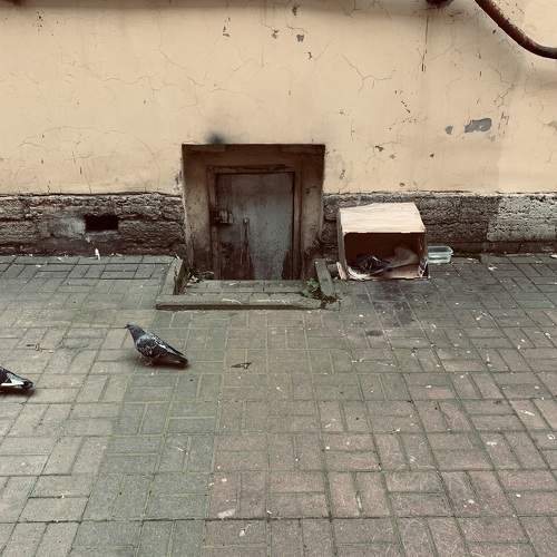 Photo #11770124