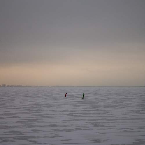 Photo #11770148