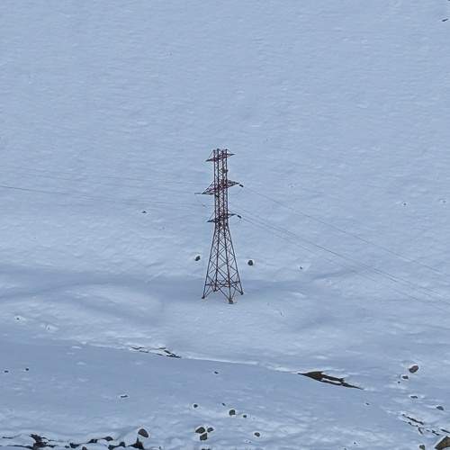 Photo #11770357