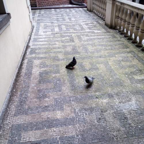 Photo #11770444