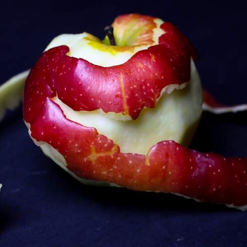 Photo #11770458
