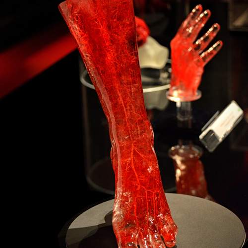 Фотография #11770593