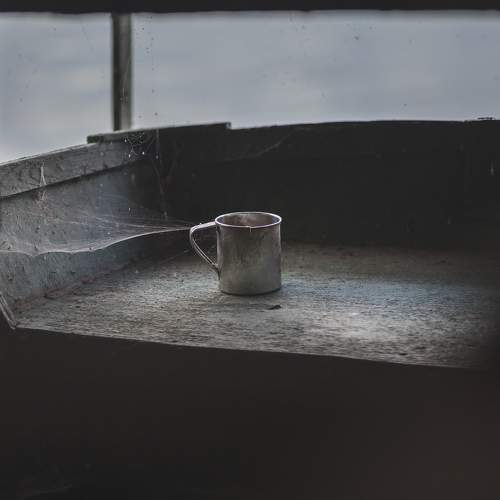 Photo #11770776