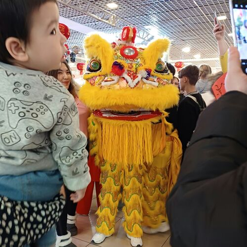 Photo #11771276
