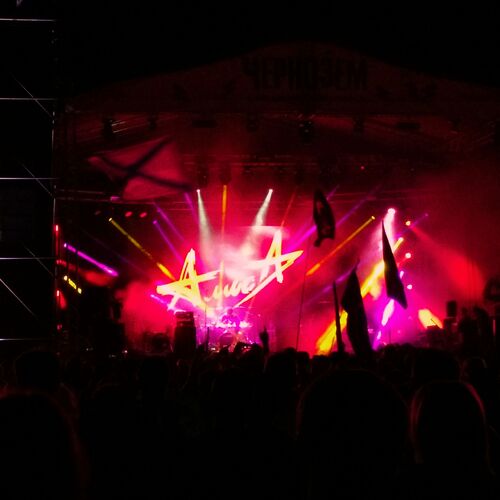 Photo #11771307