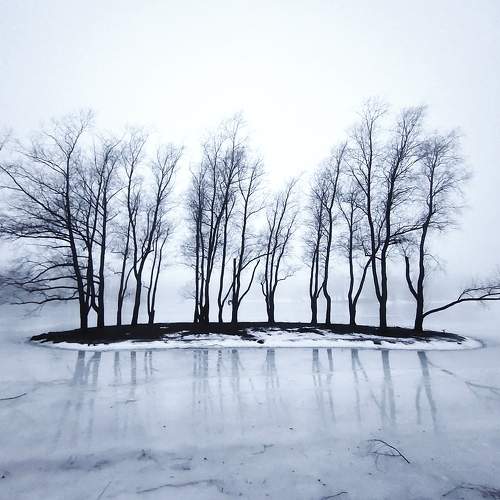 Photo #11771500